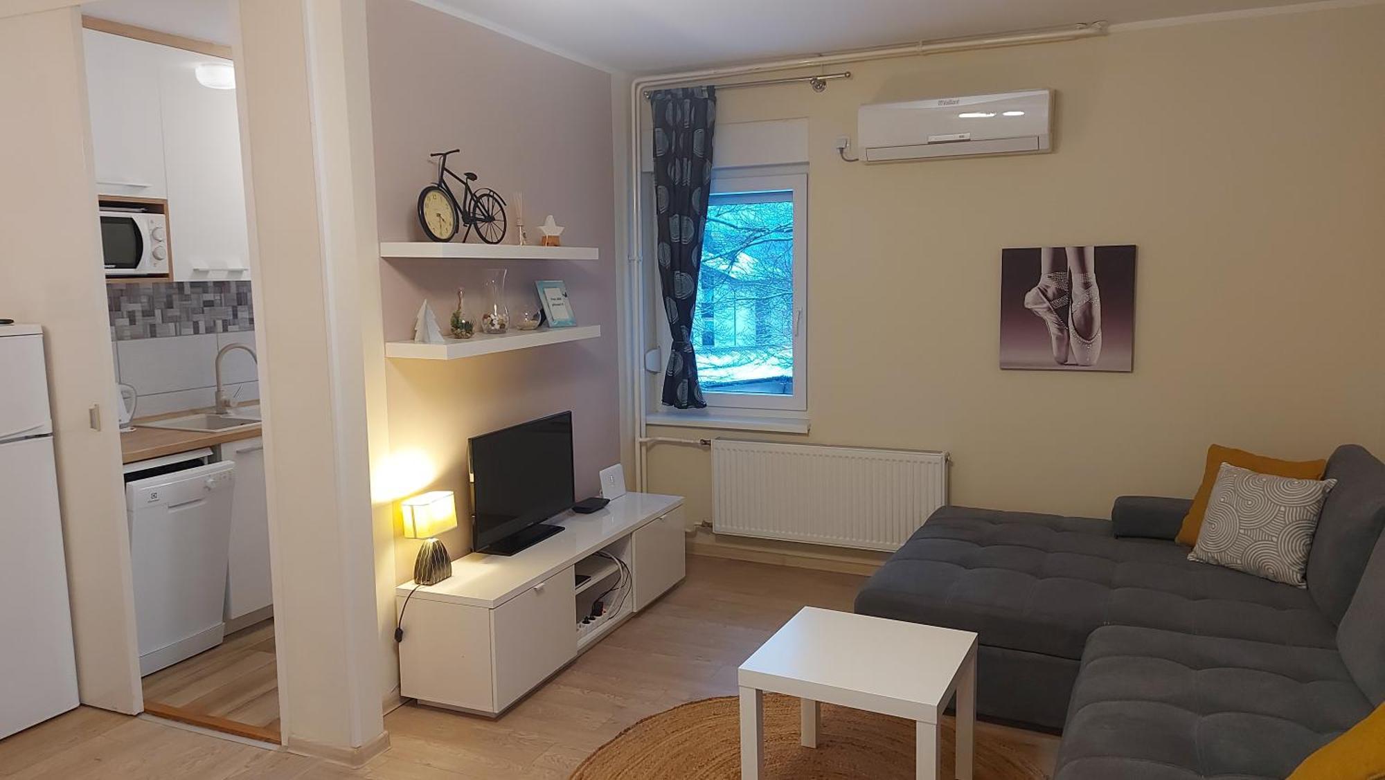 Apartment Alex - photo 3