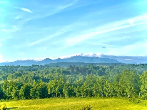 Apartment Melissa - photo 3