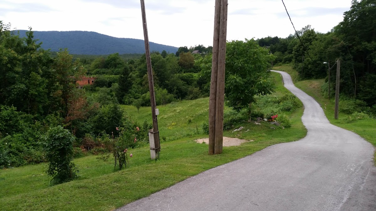 Guesthouse Loncar - photo 5