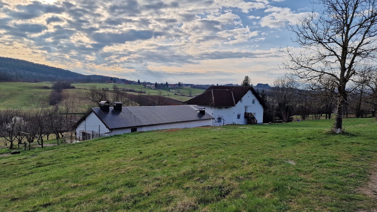 Guesthouse Rubcic - photo 5