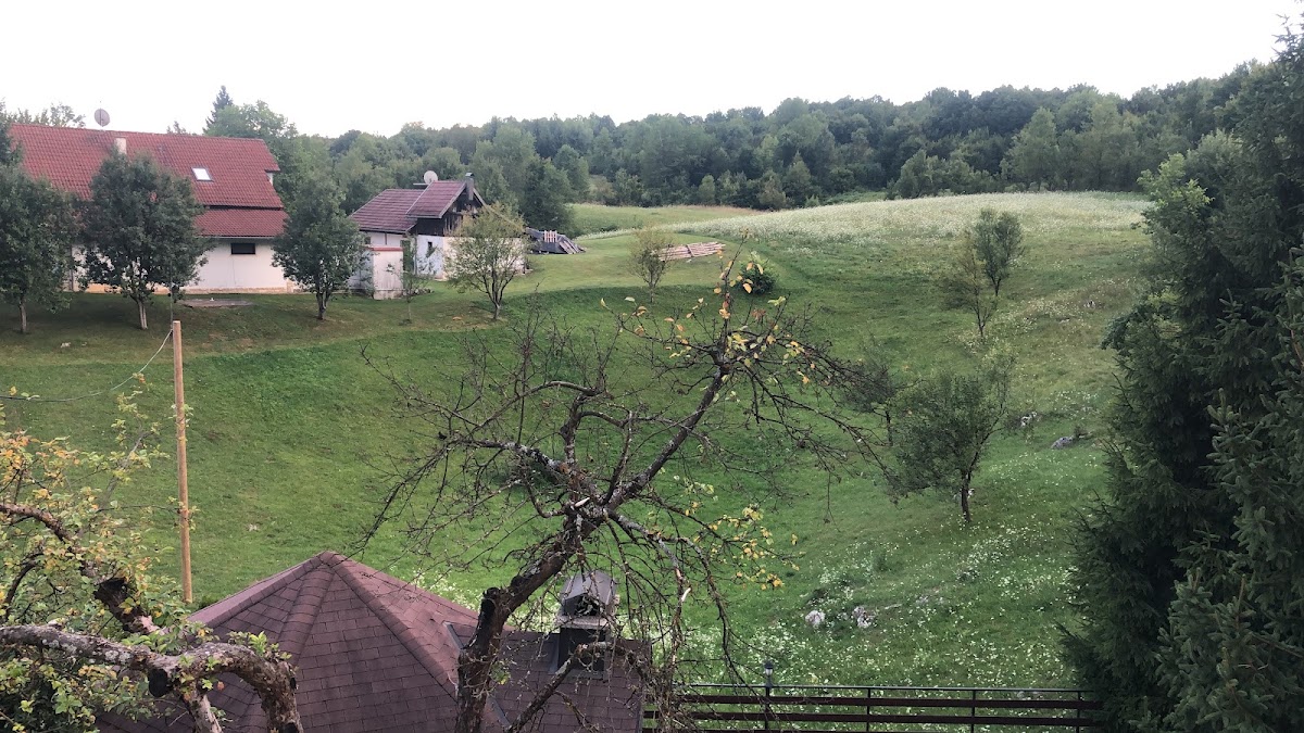 House Palijan - photo 5