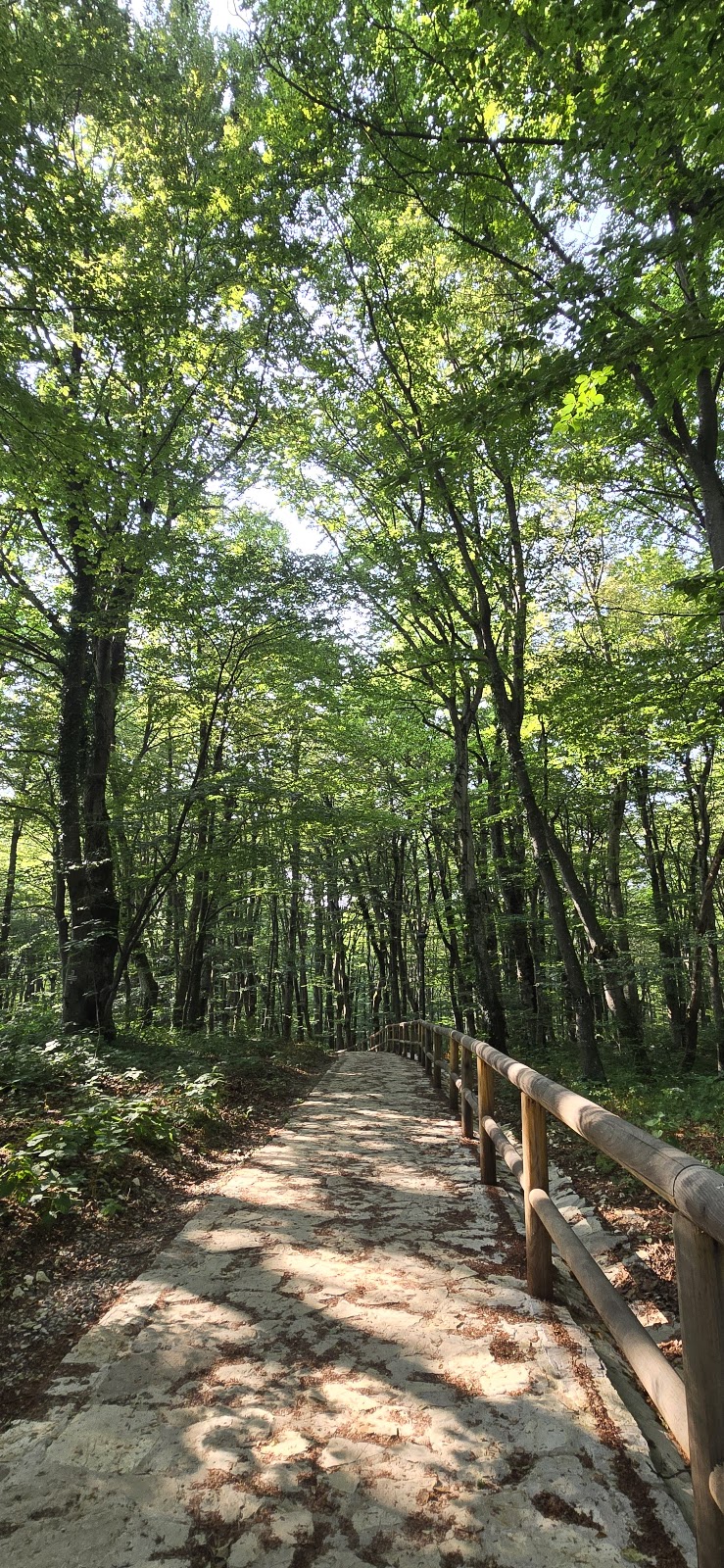 Plitvice Studio Sara - photo 3