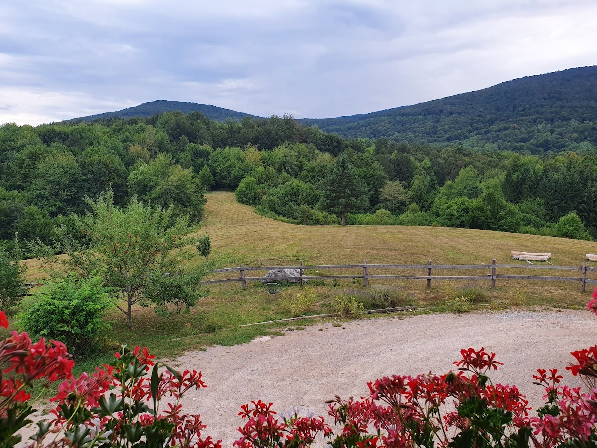 Ranch Jelov Klanac - photo 4