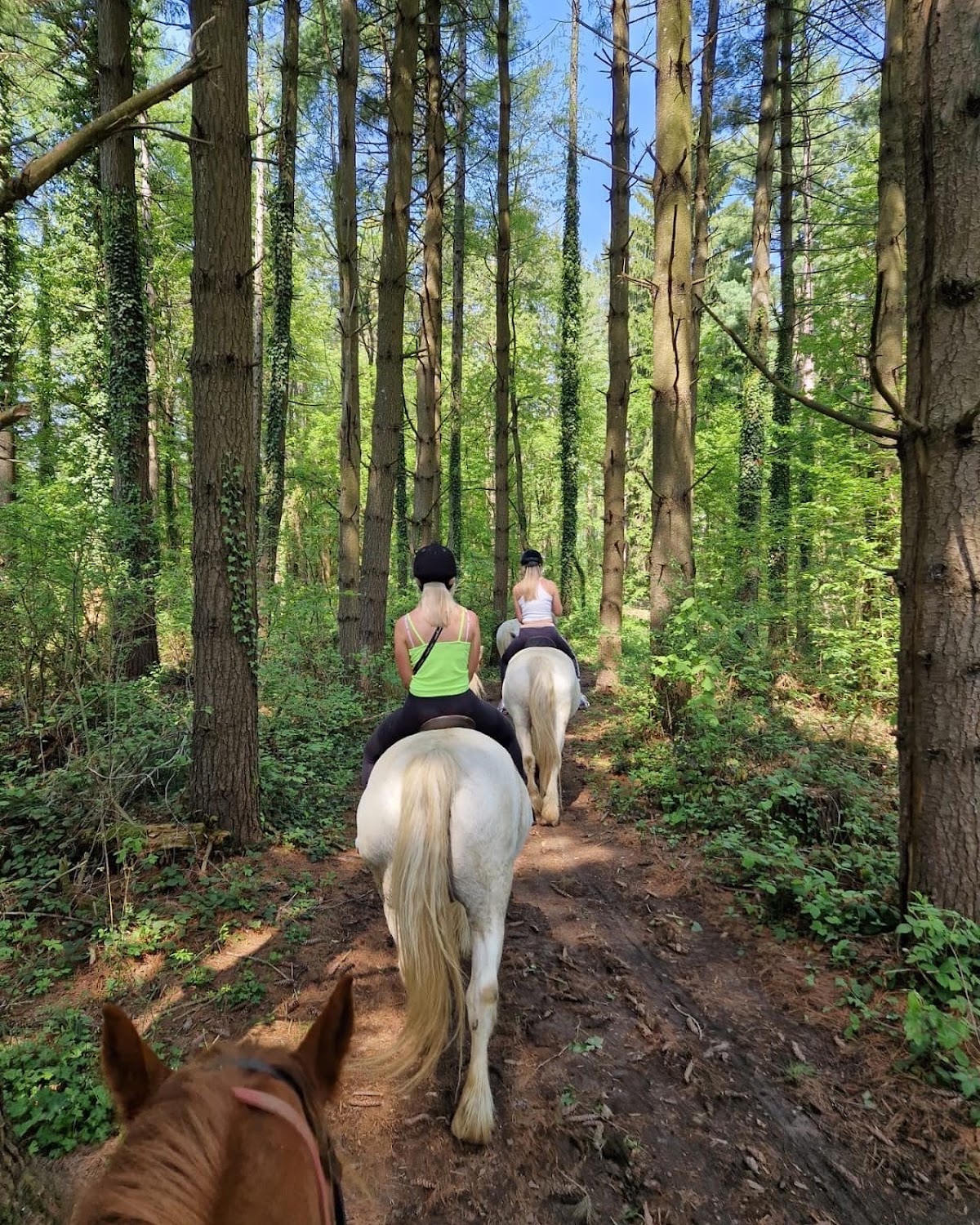 Ranch Terra - photo 5