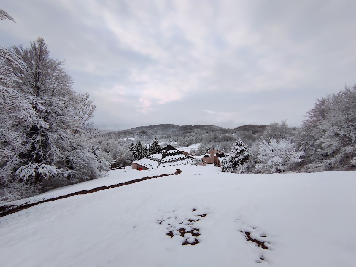 Sweet Dreams - photo 4