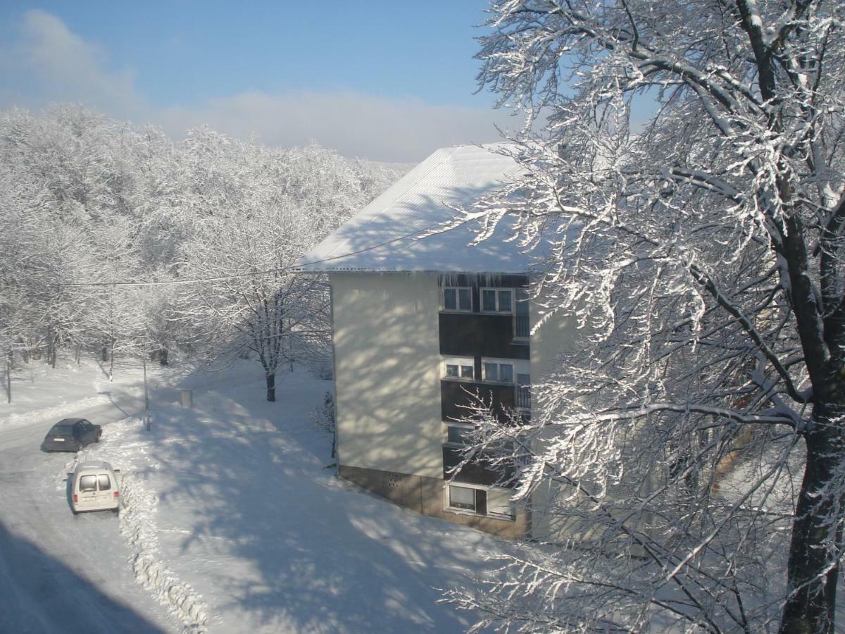 Sweet Home - photo 2