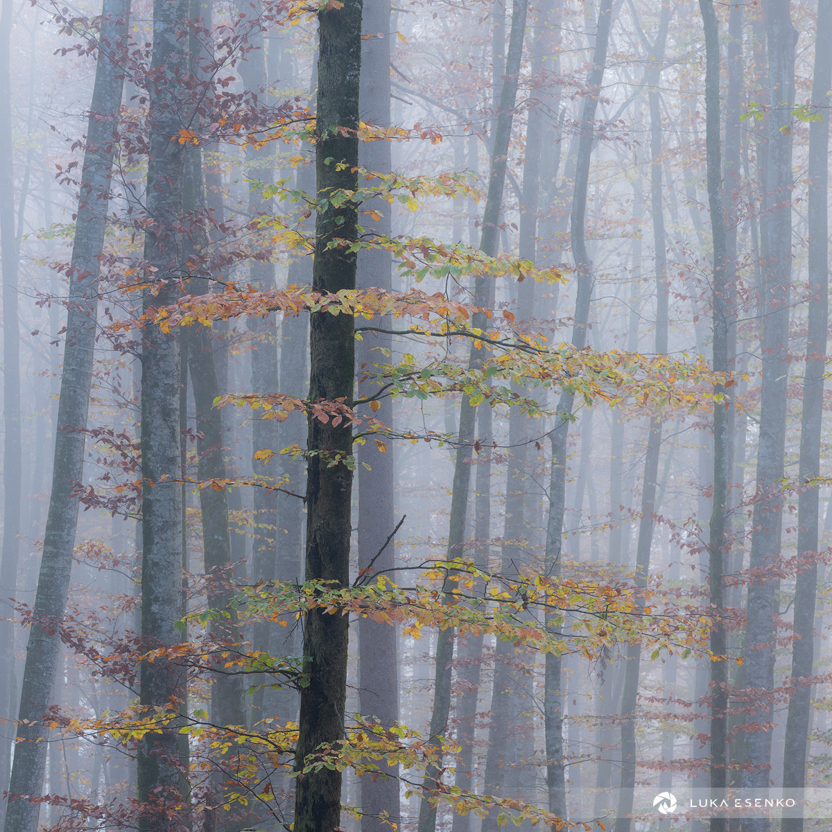 Plitvice Lakes Photography Workshop - photo 5