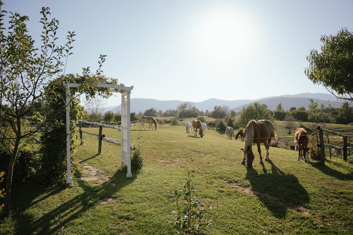 Ranch Terra Horse Riding - photo 4