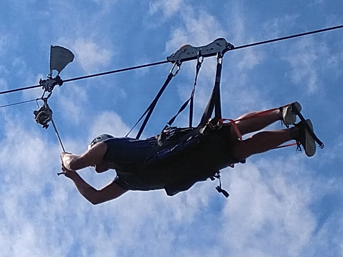 Zipline Pazi Medo (Beware of the Bear)