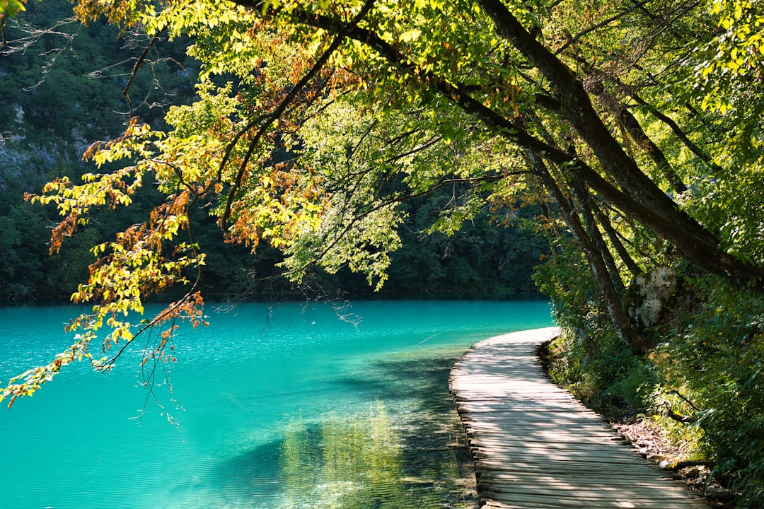 Golden autumn foliage reflected in turquoise waters at Plitvice Lakes