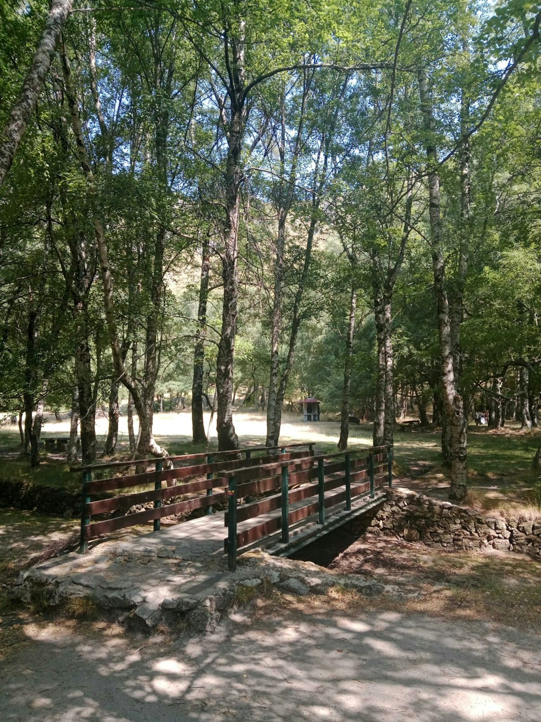 Packed lunch and snacks for budget hiking trip
