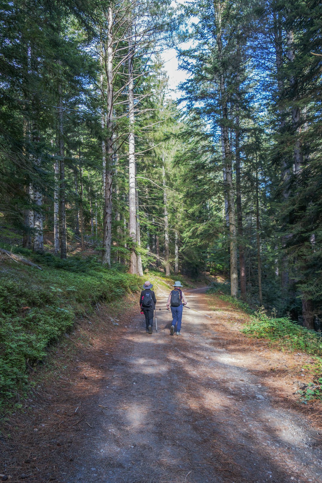 Stroller on outdoor walking path suitable for families