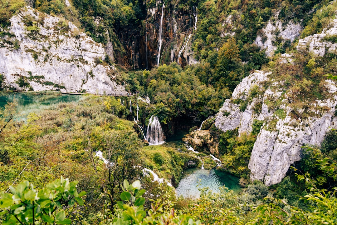 Green forest hiking trail at Plitvice Lakes National Park