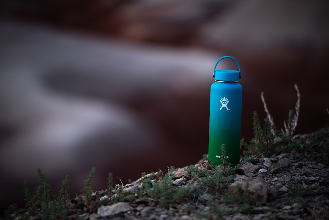 Hiking daypack with water bottle and essential supplies