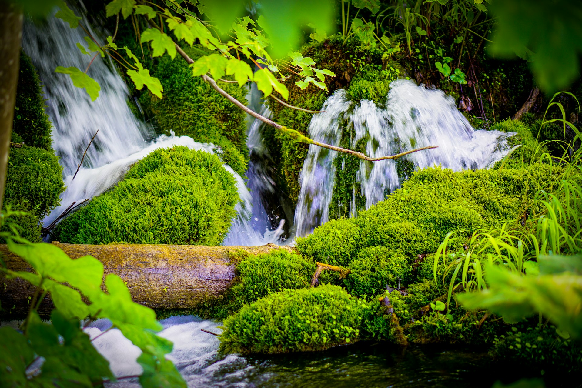 Stream running through lush green forest at Plitvice Lakes National Park in spring