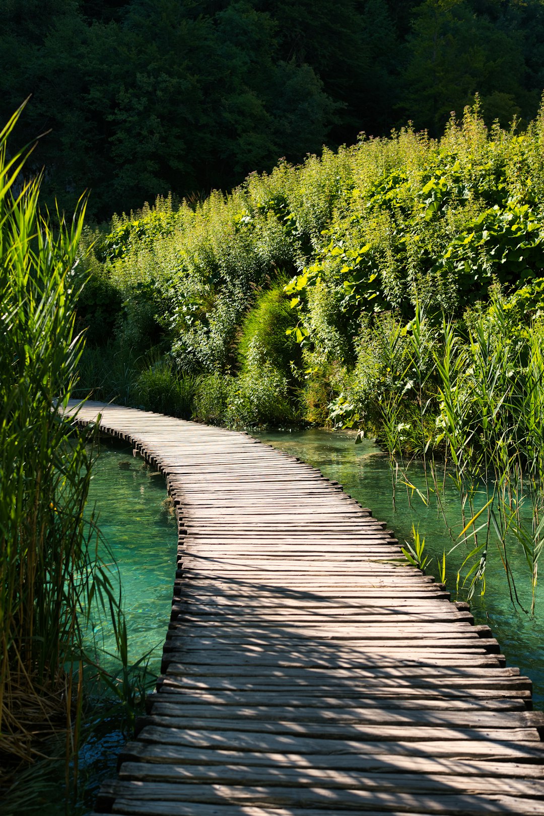 Waterfall viewpoint at Plitvice Lakes accessible from main path