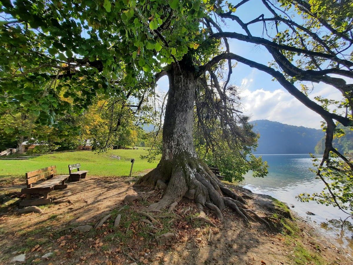 Panoramic overlook showing vast valley landscape