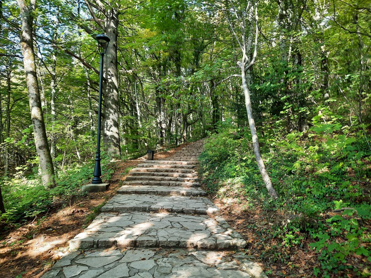 Helpful information and reference guide for visitors